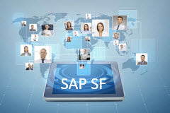 Course: Introduction to SuccessFactors Foundation Module