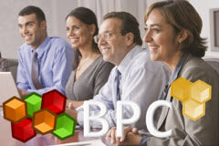 Course: SAP BPC Embedded Fundamentals for Planning Applications
