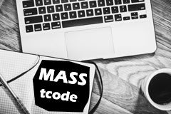 Course: MASS T Code - Mass Maintenance Tips