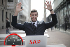 Course: SAP FICO Reporting Tips and Tricks