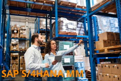 Course: SAP S/4HANA - Materials Management - Overview