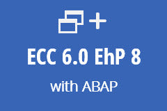 ECC 6.0 with ABAP - Monthly subscription
