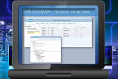 Course: SAP S/4HANA Cost Object Hierarchy