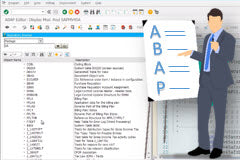 Course: ABAP for SAP Users