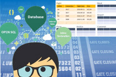Course: Reading Data in ABAP with Open SQL
