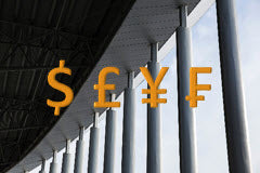Course: Overview of SAP Parallel Currencies