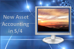 Course: Functional Overview of New Asset Accounting in S/4HANA