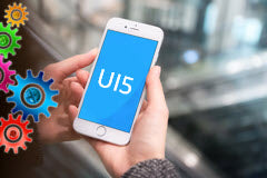 Course: Introduction to SAP OpenUI5 Apps