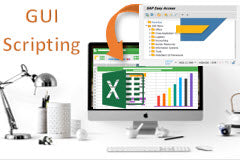 Course: Exporting Data from SAP using GUI scripting