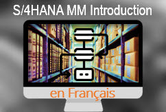 Course: Introduction à la gestion des articles dans SAP