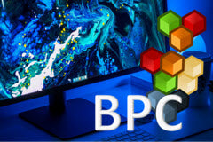 Course: Implementing SAP BPC Embedded 11