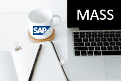 Course: SAP Mass Change/Create of Master and Transaction Data