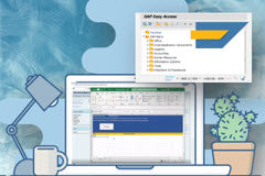 Course: SAP Functions - How to call RFC from Excel