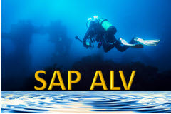 Course: ALV Programming Deep Dive