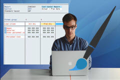 Course: SAP CO Report Painter and Report Writer