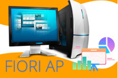 Course: S/4 Finance - Fiori Accounts Payable Analytics