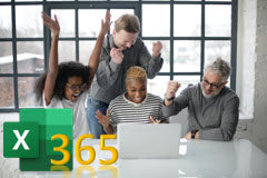 Course: Mastering the Basics of Excel 365