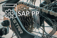 Course: SAP S/4HANA PP - Planificación de la Producción