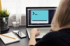 Course: Introduction to Web Development