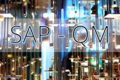 Course: Quality Management in SAP S/4HANA