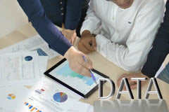 Course: Data and IT Literacy Skills for Business Professionals