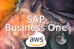 Course: Instalar SAP Business One Developer en la nube de Amazon