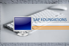 Course: SAP S/4HANA Foundations - Intermediate Skills