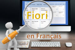 Course: SAP Fiori: Le Guide pour End Users