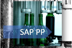 Course: SAP Production Planning Simply Explained