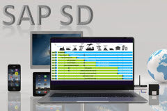Course: Sales & Distribution-Scenario by Scenario for  SAP S/4