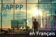 Course: SAP PP Production Planning - Processus Métiers