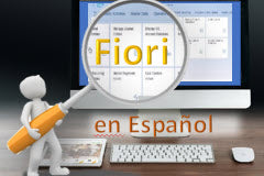 Course: SAP Fiori: La Guía del Usuario Final