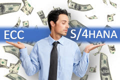 Course: Closing Period in GL Accounting S/4HANA - DELTA