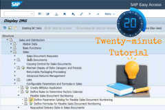 Course: S/4HANA Configurable Parameters & Formulas in Sales order