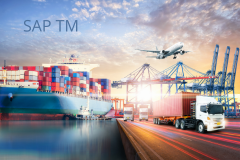 Course: Learn SAP Transportation Management (TM) in S/4HANA