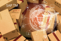 Course: Freight Unit and ERP Integration in TM S/4HANA