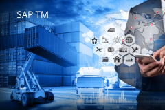Course: Freight Order and Execution in TM S/4HANA