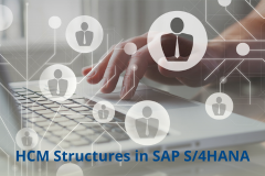 Course: HCM Structures in SAP S/4HANA