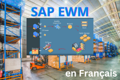 Course: SAP Extended Warehouse Management (EWM) : Processus Métiers