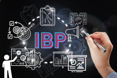 Course: SAP Integrated Business Planning (IBP) - An Introduction
