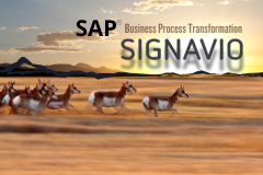 Course: SAP Signavio for Business Process Transformation