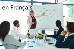 Course: Présentation de SAP MDG : Modifications de masse