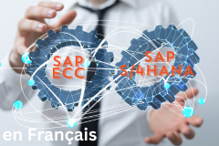 Course: Comprendre la Différence entre SAP ECC et SAP S/4HANA