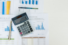 Course: SAP S/4HANA - Creating Open Balance Statements via FBL5N