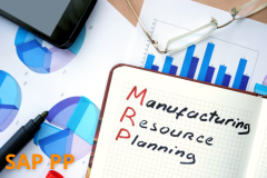 Course: SAP S4/HANA - Production Planning Tools
