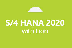 SAP S/4 HANA 2020 with Fiori - Annual Subscription