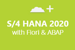 SAP S/4 HANA 2020 with ABAP and Fiori - Annual  Subscription