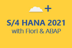 SAP S/4 HANA 2021 with ABAP and Fiori - Monthly Subscription