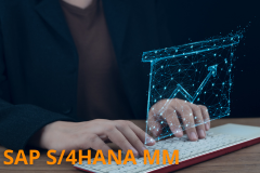 Course: SAP S/4HANA - Materials Management Basics