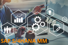 Course: SAP S/4HANA - Materials Management - Processes